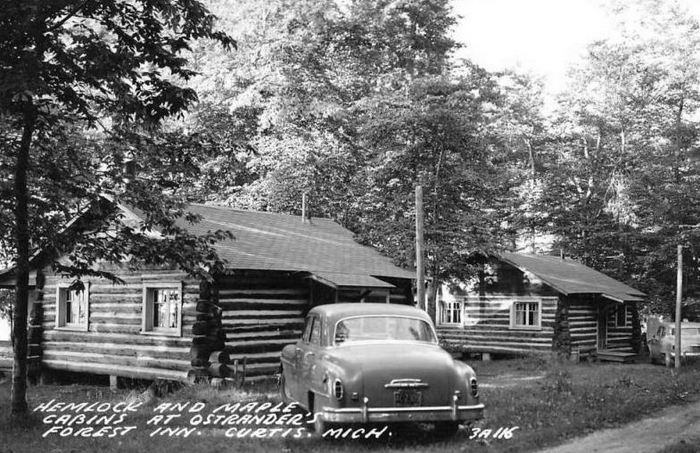 Curtis - Vintage Postcard